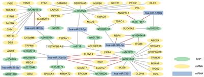 Integrated analysis of mRNA-single nucleotide polymorphism-microRNA interaction network to identify biomarkers associated with prostate cancer